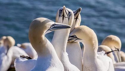 世界杯门票-又有马拉松选手赛后猝死，“酷跑”风险如何避免？